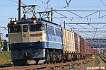 5087レ　EF652087　大垣～南荒尾（信）　2024.11.09