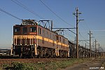 3715レ　ED5081+ED5082　三里～丹生川　2024.11.09