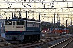 ef652088-241225-単2099