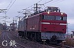 G20250103EF510306