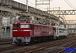 _20250108_065130-8730-EF81139のコピー