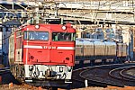 w-DSC_6068_0001