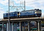 配9521レ　EF64 1030　　EF65 1102　2025/01/08 13:42　武蔵野線西浦和－北朝霞（後追い）