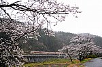 1-30・b-DSC_7543・サンライズ出雲・根雨～武庫・