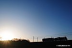 100207稲-能D300_1735sp