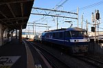 IMG_0383tri