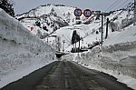 /stat.ameba.jp/user_images/20250311/12/int14jpn118/5b/11/j/o1450096515553331827.jpg