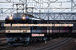 /2nd-train.net/files/topics/2025/03/15/9cacf5297efe5f0a29e52ec3531ddf6d2f7363e1_p.jpg