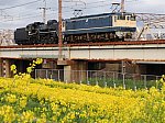 /stat.ameba.jp/user_images/20250402/20/sanchan-mori/50/96/j/o1440108015561707134.jpg
