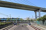 20190504_img_7941s