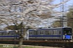 /stat.ameba.jp/user_images/20250406/22/happiness7212/0b/32/j/o1136075715563378957.jpg