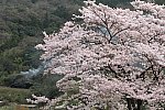 /stat.ameba.jp/user_images/20250407/15/i5552m5557/24/34/j/o0900060015563605781.jpg