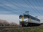 /stat.ameba.jp/user_images/20250410/02/ef510-510/8e/21/j/o1024076815564604623.jpg
