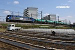 20250412-DSC_9653
