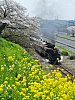 /stat.ameba.jp/user_images/20250412/22/kaba-230/15/ff/j/o2250300015565719053.jpg