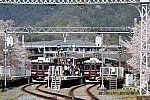 /blogimg.goo.ne.jp/user_image/58/f6/3d53a2f79385694ff6cf9665b098457c.jpg