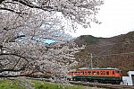 /stat.ameba.jp/user_images/20250415/16/akameoyaji/51/21/j/o0800053315566782342.jpg