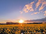 /stat.ameba.jp/user_images/20250415/20/yossylc100/69/36/j/o5149379815566865606.jpg