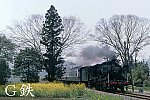 199404内牧春爛漫決定版