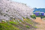 /stat.ameba.jp/user_images/20250415/20/kakikunh6t0k1/58/2e/j/o1000066715566878109.jpg