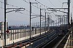 20240316_img_0181s
