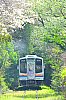 /stat.ameba.jp/user_images/20250415/20/kakikunh6t0k1/ee/d2/j/o0667100015566879761.jpg