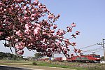 /stat.ameba.jp/user_images/20250420/03/ef510-510/99/1c/j/o1383092215570592403.jpg