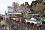 DSC_1593s.jpg
