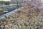 DSC_1527s.jpg