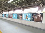 IMG_4934