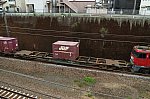 /stat.ameba.jp/user_images/20250422/20/tk5351/aa/8d/j/o0800053315573207514.jpg