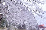 DSCF4070.jpg