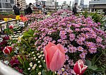 /stat.ameba.jp/user_images/20250425/05/dinopapa/a6/f2/j/o0800056615575965605.jpg
