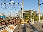 IMG_3106