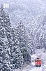 DSCF4090.jpg