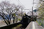 /stat.ameba.jp/user_images/20250428/20/int14jpn118/b3/0d/j/o1450096715579622923.jpg