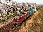 /stat.ameba.jp/user_images/20250428/20/ed751004/03/05/j/o1080081015579605540.jpg