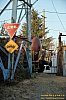 20250320_1549.jpg