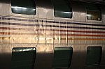 20231103_img_6527s