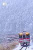 DSCF4117.jpg