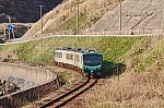 r-shirakami-buna-3658nxad-dai2.jpg