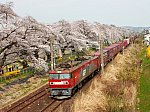 /stat.ameba.jp/user_images/20250502/20/ed751004/80/1b/j/o1080080915583696396.jpg