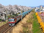 /stat.ameba.jp/user_images/20250503/21/ed751004/94/a2/j/o1080080915584921707.jpg