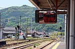 IMG_1649_1