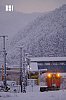 DSCF4313-強化-NR