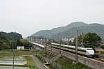 IMG_1560_1