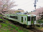 IMG_2822.jpg