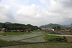 IMG_1590_1