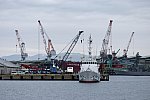 _MG_1658