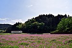 DSC_7200_asqf.jpg
